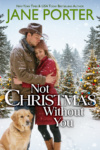 Not Christmas Without You Cover